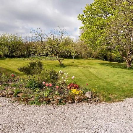 Llys Onnen - North Wales Holiday Cottage Mold Exterior foto