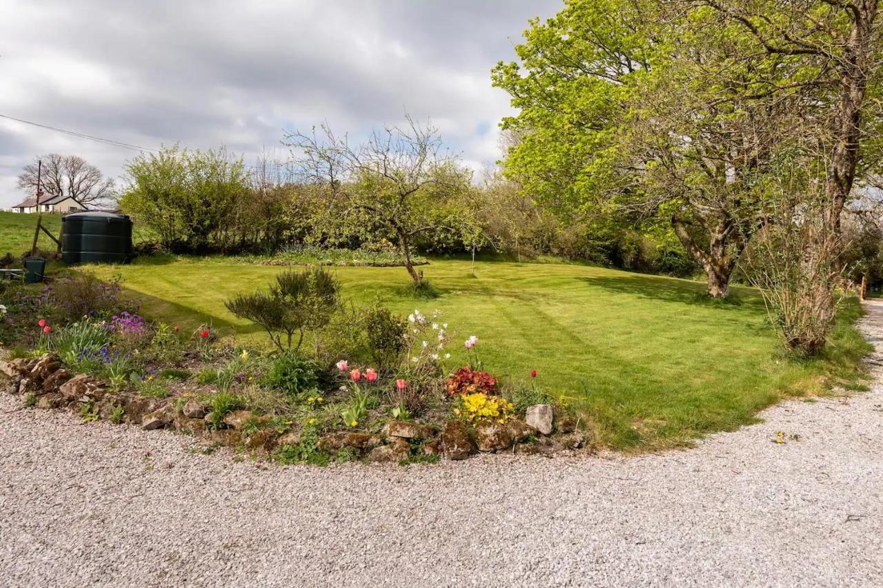 Llys Onnen - North Wales Holiday Cottage Mold Exterior foto